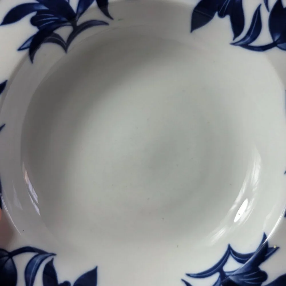 ONE Pier 1 Ming Rim Soup Bowl White with Blue Leaves and Flowers